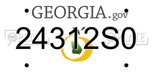 24312S0 Georgia License Plate