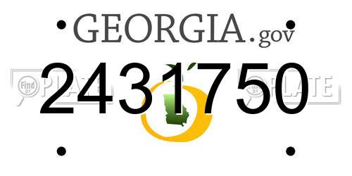 2431750 Georgia License Plate