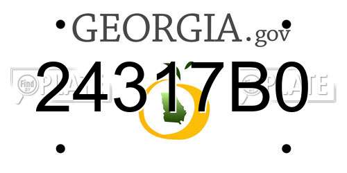 24317B0 Georgia License Plate