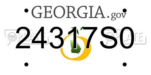 24317S0 Georgia License Plate