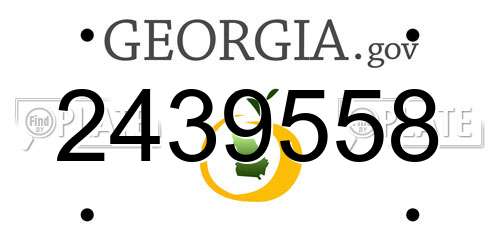 2439558 Georgia License Plate