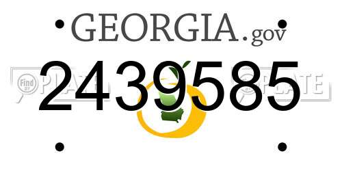 2439585 Georgia License Plate