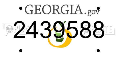 2439588 Georgia License Plate