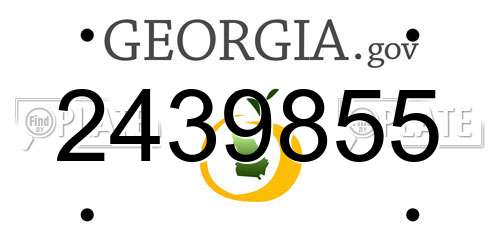 2439855 Georgia License Plate