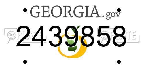 2439858 Georgia License Plate