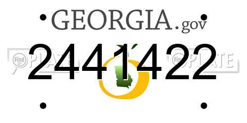 2441422 Georgia License Plate