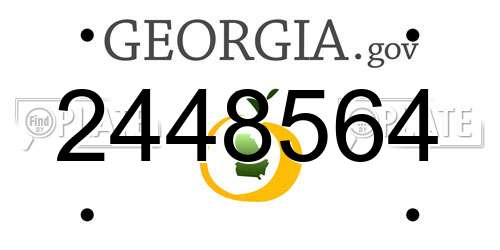 2448564 Georgia License Plate