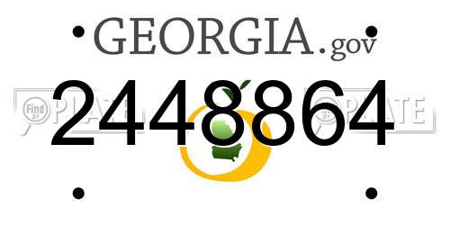 2448864 Georgia License Plate