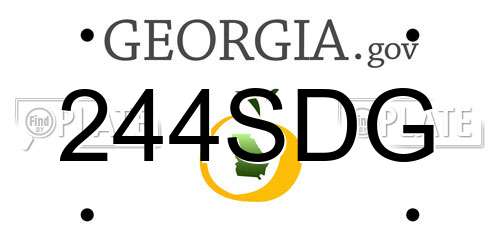 244SDG Georgia License Plate