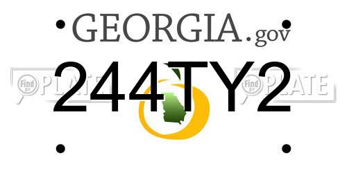 244TY2 Georgia License Plate