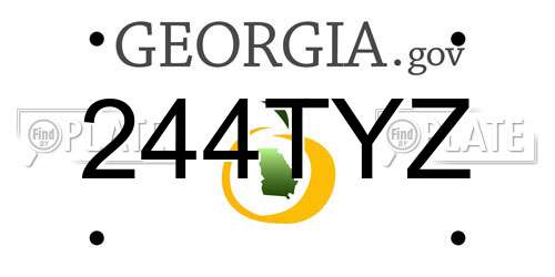 244TYZ Georgia License Plate