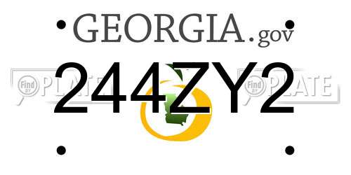 244ZY2 Georgia License Plate