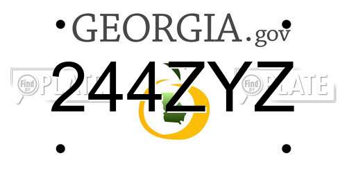 244ZYZ Georgia License Plate