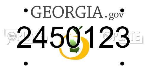 2450123 Georgia License Plate