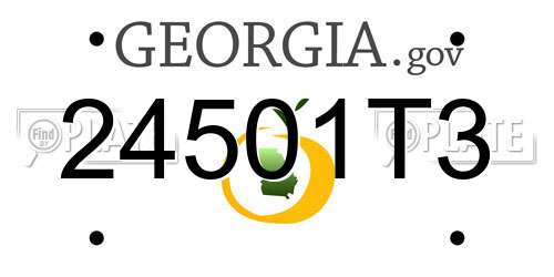24501T3 Georgia License Plate