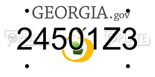 24501Z3 Georgia License Plate