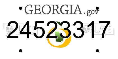 24523317 Georgia License Plate