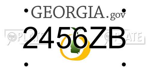2456ZB Georgia License Plate