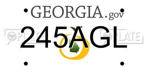 245AGL Georgia License Plate