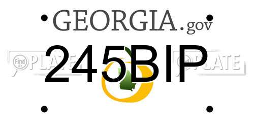 245BIP Georgia License Plate