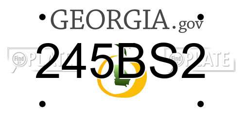 245BS2 Georgia License Plate