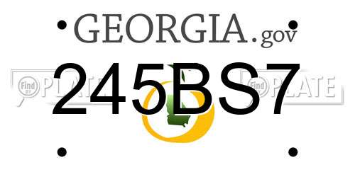 245BS7 Georgia License Plate