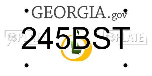 245BST Georgia License Plate