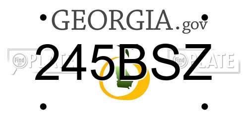 245BSZ Georgia License Plate