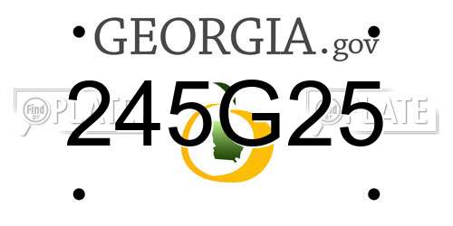 245G25 Georgia License Plate
