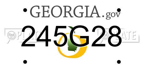 245G28 Georgia License Plate