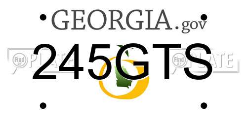 245GTS Georgia License Plate