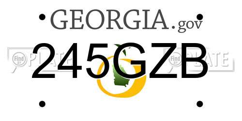 245GZB Georgia License Plate