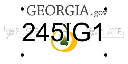 245IG1 Georgia License Plate
