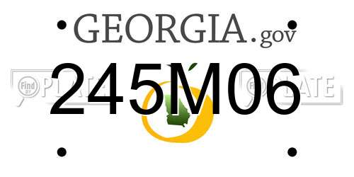 245M06 Georgia License Plate