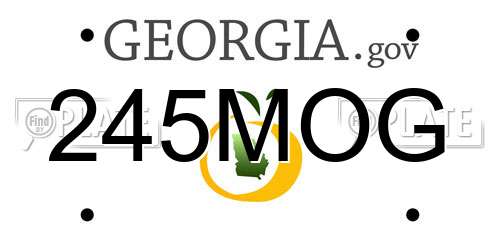 245MOG Georgia License Plate