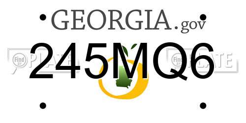 245MQ6 Georgia License Plate