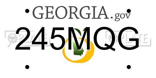 245MQG Georgia License Plate