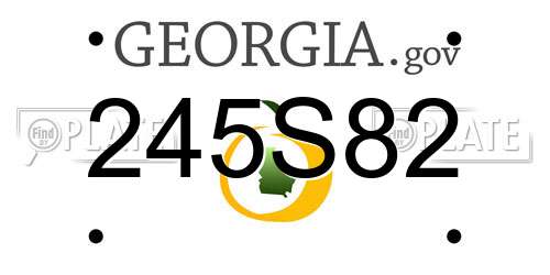 245S82 Georgia License Plate