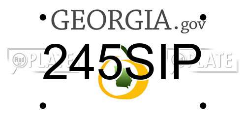 245SIP Georgia License Plate