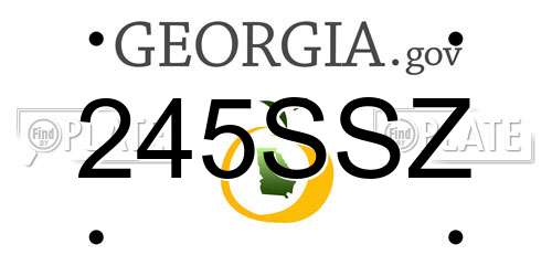 245SSZ Georgia License Plate