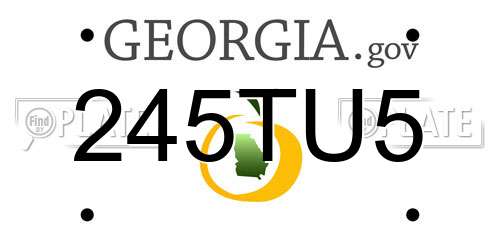 245TU5 Georgia License Plate