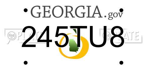 245TU8 Georgia License Plate