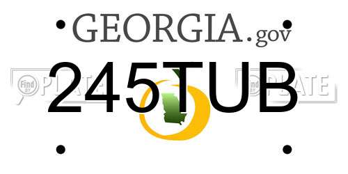 245TUB Georgia License Plate