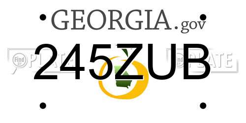 245ZUB Georgia License Plate