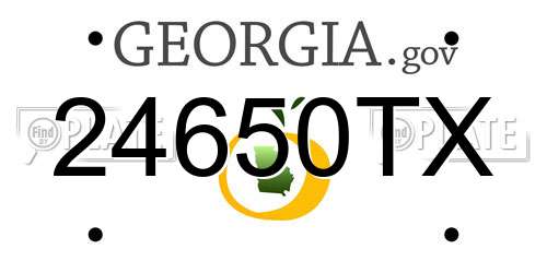 24650TX Georgia License Plate
