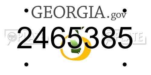 2465385 Georgia License Plate