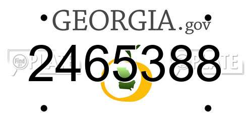 2465388 Georgia License Plate