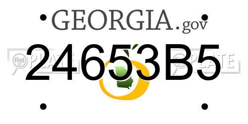 24653B5 Georgia License Plate