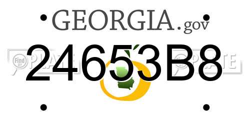 24653B8 Georgia License Plate