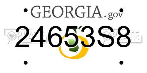 24653S8 Georgia License Plate
